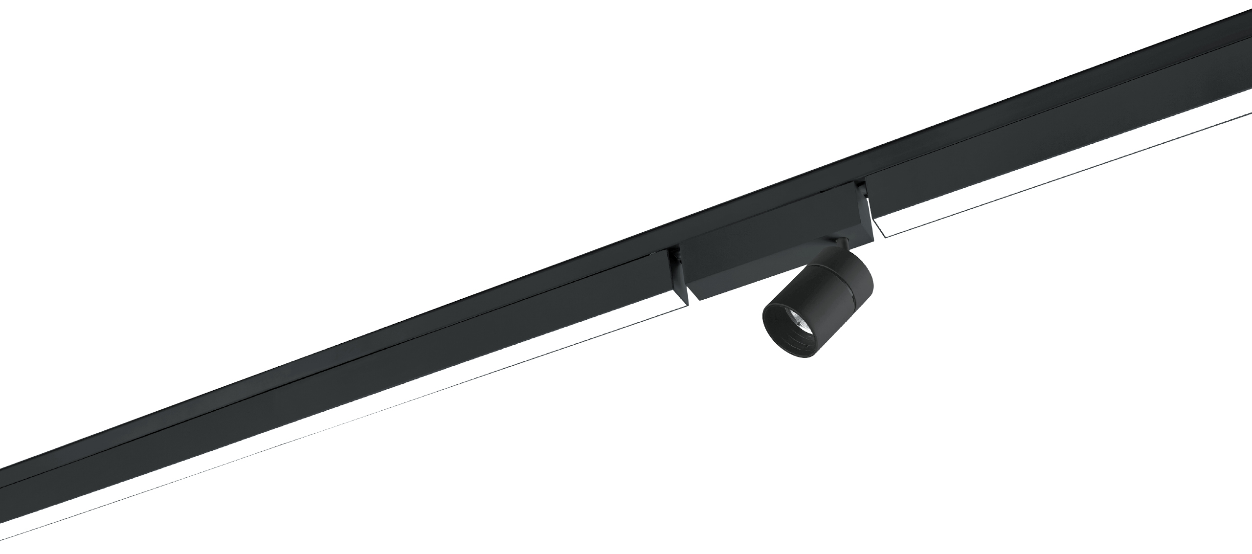 Reggiani shop track lighting